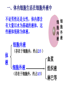 生物学考复习必修三PPT课件