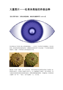 大量图片——松果体第三只眼奥秘的终极诠释