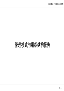 管理模式与组织结构报告