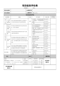 项目级别评估表