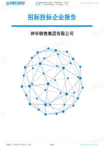 神华销售集团有限公司-招投标数据分析报告