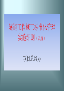 隧道工程施工标准化管理实施细则