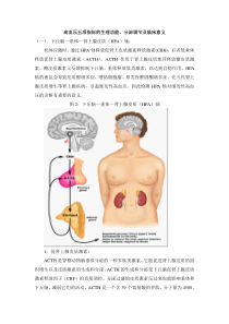 高血压五项指标的生理功能、分泌调节及临床意义