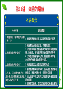 2015高三生物一轮复习细胞增殖