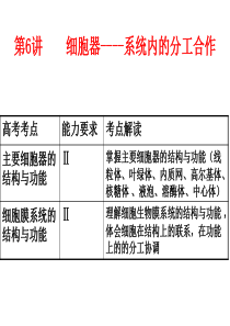 2015生物一轮复习第6讲细胞器—系统内的分工合作