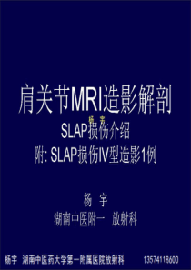 肩关节MRI造影解剖 及SLAP损伤介绍