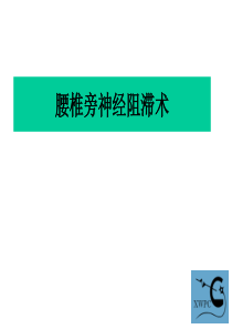 腰椎旁神经阻滞术