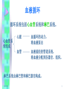 基础医学概论-血液循环概要