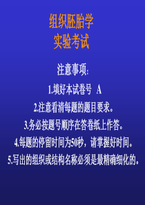 45组织学实验考试模拟题1