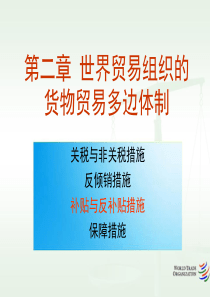 货物贸易法律制度(3)补贴与反补贴法律制度