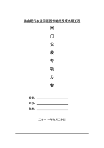 闸门施工方案(1)