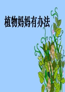 《植物妈妈有办法》PPT课件5