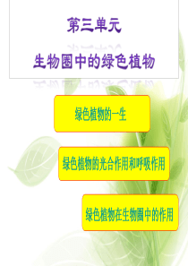 《植物种子的萌发》复习课件