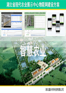 湖北农展中心物联网建设方案44