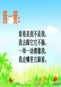 《影子》教学课件