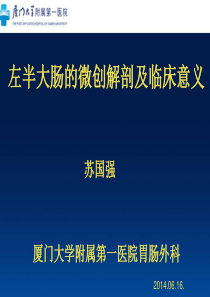 左半结肠的微创解剖及临床意义