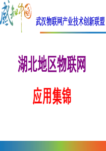 湖北地区物联网应用集锦上57