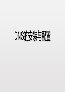 DNS的安装与配置