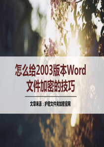 怎么给2003版本Word文件加密的技巧