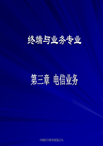 终端与业务专业(三)电信业务综述