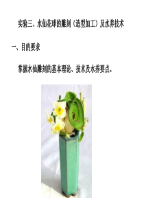 3水仙花球的雕刻(造型加工)及水养技术