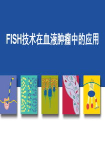 FISH技术在血液肿瘤中的应用