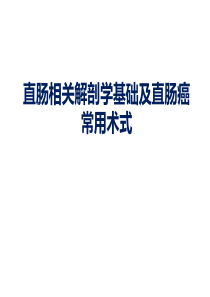 直肠相关解剖学基础及直肠癌常用术式