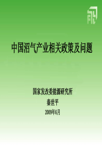 中国沼气产业相关政策及问题