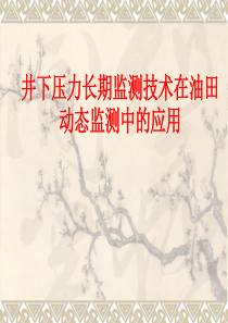 井下压力长期监测技术在油水井动态监测中的应用