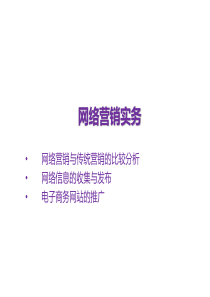 网络营销实务