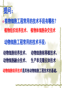 最新2.21动物细胞培养和核移植技术-PPT文档-文档资料