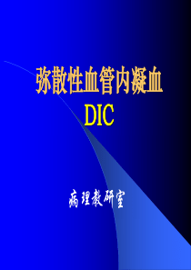 07第七章  DIC