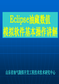 Eclipse油藏数值模拟软件基本操作讲解总