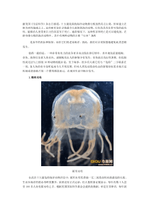 世界十大最危险海洋生物