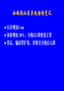 妊娠相关急性肾损伤-文档资料