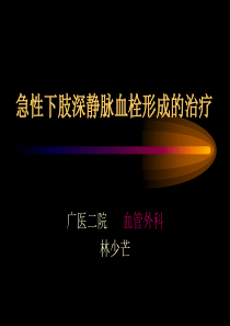 急性下肢深静脉血栓形成的治疗-PPT课件