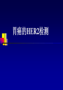 胃癌的HER2检测