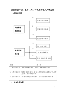 企业资金计划、报审、支付和使用流程及具体办法