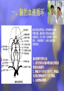 脑出血护理查房1509381172