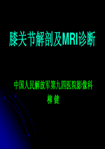 膝关节解剖及MRI诊断1