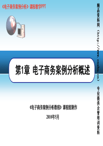 第1章+电子商务桉例分析概述（XXXX年5月）