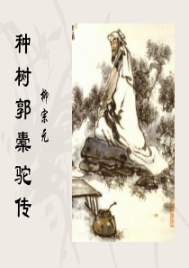 种树郭橐驼传(-教学用)