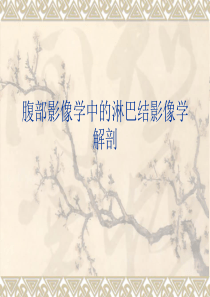 腹部影像学中的淋巴结影像学解剖