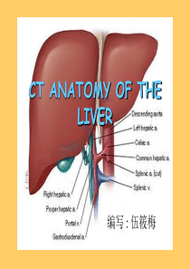 肝脏CT解剖图记忆