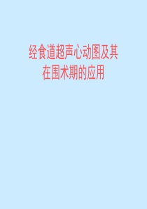 经食道超声心动图