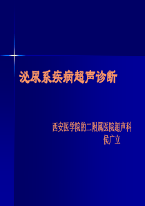 泌尿系疾病超声诊断