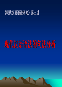 现代汉语语法的句法分析-94页PPT文档资料