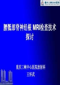 腰骶部脊神经根 MRI检查技术探讨