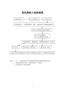 急诊抢救治疗流程图集