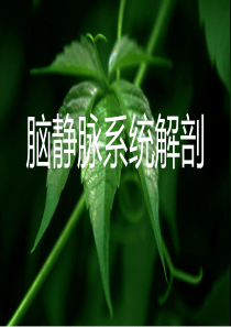 脑血管解剖(脑静脉系)